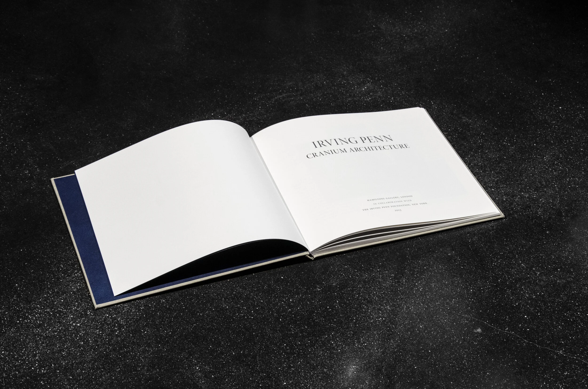 BOOK - Irving Penn, Cranium Architecture — Hamiltons Gallery Shop